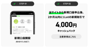 DMM FX タイアップ 4000円 手順